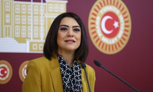 CHP MİLLETVEKİLİ GAMZE TAŞÇIER'İN NADİR HASTALIKLAR KONULU KÖŞE YAZISI